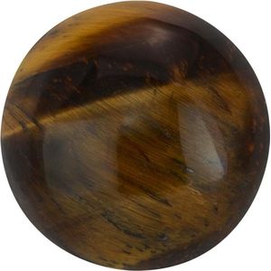 Quiges Verwisselbare Mini Munt Tiger's Eye Steen Bruin - SLSRC047