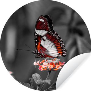 WallCircle - Behangcirkel - Zelfklevend behang - Dieren - Vlinder - Bloemen - Natuur - Oranje - ⌀ 140 cm - Behangcirkel zelfklevend - Behangcirkel dieren - Cirkel behang