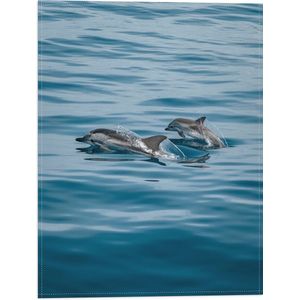 WallClassics - Vlag - Dolfijnen boven de Zee - 30x40 cm Foto op Polyester Vlag