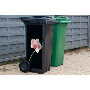 Container sticker Orchidee - Bloemen - Zwart - Roze - Knoppen - 44x98 cm - Kliko sticker