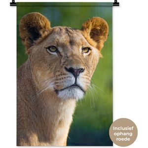 Wandkleed Leeuwen - Jonge leeuwin Wandkleed katoen 60x90 cm - Wandtapijt met foto