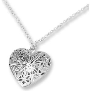 Montebello Ketting Briolla - Zilver E-Coating - Hart - ∅25mm - 45cm