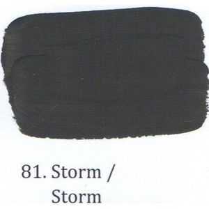 Vloerlak OH 1 ltr 81- Storm