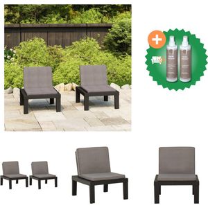 vidaXL Loungestoelen 2 st met kussens kunststof grijs Tuinstoel Inclusief Onderhoudsset