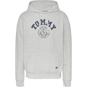 Tommy Hilfiger TJM Regular Hoodie Print - Grijs - Maat M