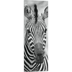 WallClassics - Vlag - Zebrakop (zwart-wit) - 30x90 cm Foto op Polyester Vlag