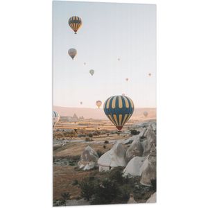 WallClassics - Vlag - Grote Groep Luchtballonnen Vliegend boven Rotsig Landschap - 50x100 cm Foto op Polyester Vlag