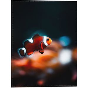 WallClassics - Vlag - Nemo Vis - 30x40 cm Foto op Polyester Vlag