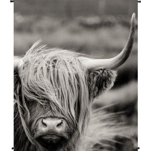 Mars and More Highlander Wandkleed fotoprint 120x140cm