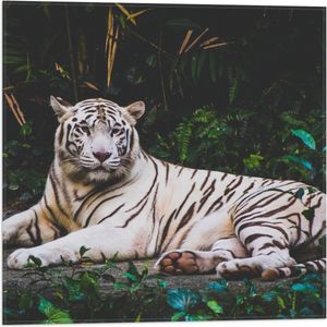 WallClassics - Vlag - Witte Tijger in de Jungle - 50x50 cm Foto op Polyester Vlag
