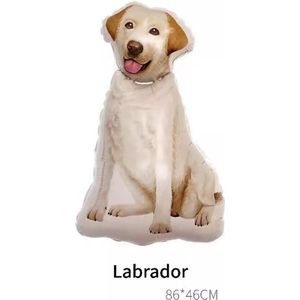 Folie ballon in de vorm van een labrador - hond - huisdier - labrador - ballon