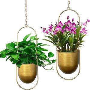 Hangende plantenhangers, set van 2 boho-hangende plantenbakken, moderne wand- en plafondplanten, bloempothouder voor vetplanten, kruiden, kleine planten, luchtplanten (goud)
