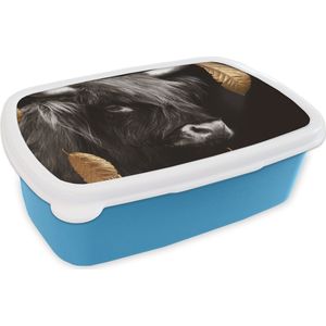 Broodtrommel Blauw - Lunchbox - Brooddoos - Goud - Schotse Hooglander - Bladeren - 18x12x6 cm - Kinderen - Jongen