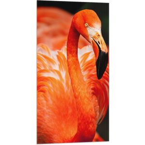 WallClassics - Vlag - Rode Flamingo - 50x100 cm Foto op Polyester Vlag