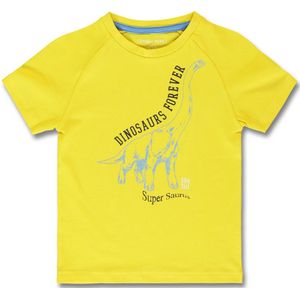 Lemon Beret t-shirt jongens - geel - 153392 - maat 116