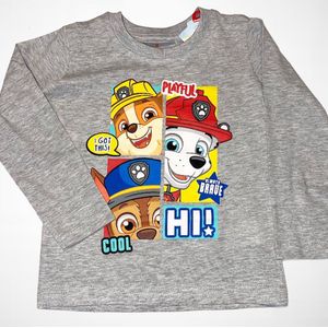 Paw patrol longsleeve grijs-Maat 116