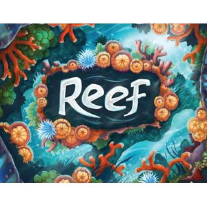 Reef bordspel - Next Move NL/FR | Leeftijd 8+ | 2-4 spelers | Speeltijd 45 minuten