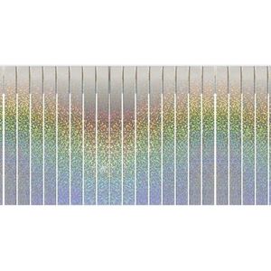Franjeslinger holografisch feest slinger 6 meter - 600 x 30 cm - Oud en nieuw/glitter party decoratie