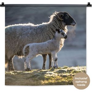 Wandkleed - Wanddoek - Schaap - Lam - Zon - 60x60 cm - Wandtapijt