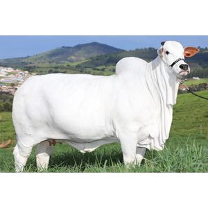 Blithe- Daktas - Opvouwbare Dakkoffer - Daktas met Versterkte Riemen - Grote Opvouwbare Auto Dakkoffer, - Versterkte Riemen - Deurhaken & Antislipmat - 430L - Stevig & Waterdicht 500D PVC