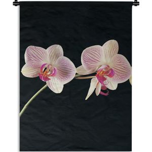 Wandkleed - Wanddoek - Orchidee - Bloemen - Zwart - Roze - Knoppen - 60x80 cm - Wandtapijt