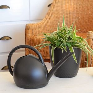 Plastia Medusa Watering Can Small for Indoor Plants 1.8 L - Watering Can with Long Spout - Plastic Flower Watering Can for Indoor Use, Anthracite