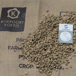 Honduras Arabica - ongebrande groene koffiebonen - 1 kg