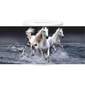Spaarpot - Witte paarden in Branding
