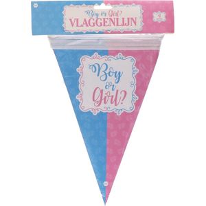 Boy Or Girl Vlaggenlijn - Blauw / Roze - Gender Reveal Party - Kunststof - Geboorte - 4 Meter