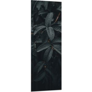 WallClassics - Vlag - Donker Groene Bladeren in de Regen - 50x150 cm Foto op Polyester Vlag