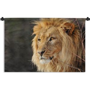 Wandkleed Leeuw - nieuw - Leeuw staart naar zijn prooi Wandkleed katoen 60x40 cm - Wandtapijt met foto