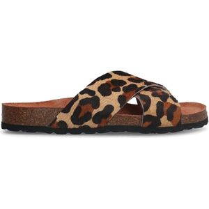 Manfield - Dames - Luipaard slippers - Maat 36