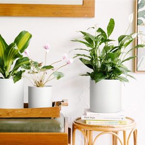 Goodivery ® - Bloempot - Plastic Bloempot Set van 4 - Decoratie voor thuis - 20,3D x 20,3B x 19H cm - Wit