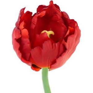 Tulp deluxe rood 25 cm Kunstbloemen