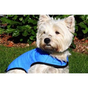 Prestige Pets CoolCoat Blauwe Hondenkoelvest, M