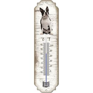 Thermometer: Boston Terriër | Hondenras | Temperatuur binnen en buiten | -25 tot +45C