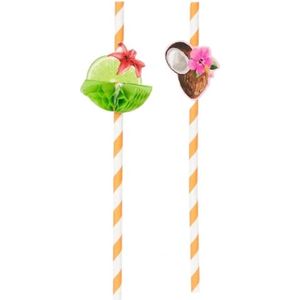 Kartonnen Rietjes met Fruit Decor - Oranje - Karton - l 19,5 cm - Set van 10 rietjes - Assorti