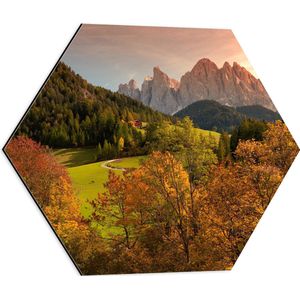 WallClassics - Dibond Hexagon - Herfstig Landschap - 50x43.5 cm Foto op Hexagon (Met Ophangsysteem)