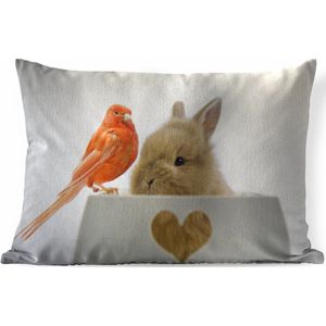 Sierkussens - Kussen - Baby konijn met een rode vogel - 60x40 cm - Kussen van katoen