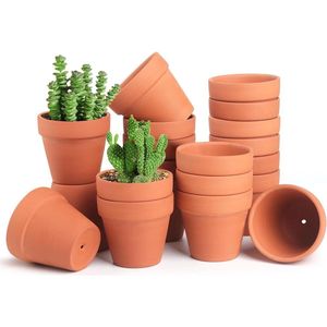 20 Stuks Mini Bloempotten van Aardewerk - Perfect voor Cactussen en Vetplanten