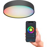 Calex Slimme Plafondlamp - Smart Plafonnière 30cm - RGB en Warm Wit - Zwart