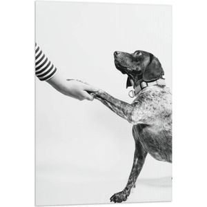 WallClassics - Vlag - Hond Geeft Poot Zwart - Wit - 60x90 cm Foto op Polyester Vlag