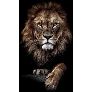 Leeuw op Textiel in Frame - WallCatchers-sStaand 80 x 120 cms-sBreed zwart Textielframe 27 mm Lion King