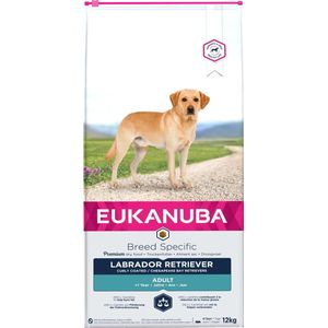 Eukanuba Dog Labrador Retriever - 12 KG
