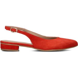 LINA LOCCHI 010-72 Schoenen Dames - Rood - Maat 39