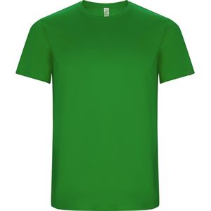 Varen Groen 2 Pack Unisex ECO CONTROL DRY sportshirt korte mouwen 'Imola' merk Roly maat XL