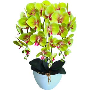 Damich - Kunst Orchidee in Bloempot - groen - gemaakt van rubber - Hoogte +/- 60 cm