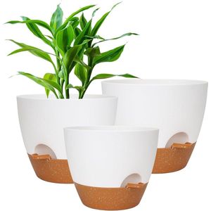 Zelfwaterende bloempot met irrigatiesysteem voor orchideeën - grote plantenpot voor binnen en buiten met onderzetter