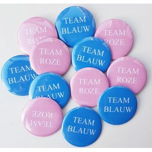 12 gender reveal buttons met 6x Team Blauw en 6x Team Roze - gender reveal - babyshower - baby - zwanger button -