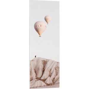 WallClassics - PVC Schuimplaat- Luchtballonnen boven Bergen - 40x120 cm Foto op PVC Schuimplaat